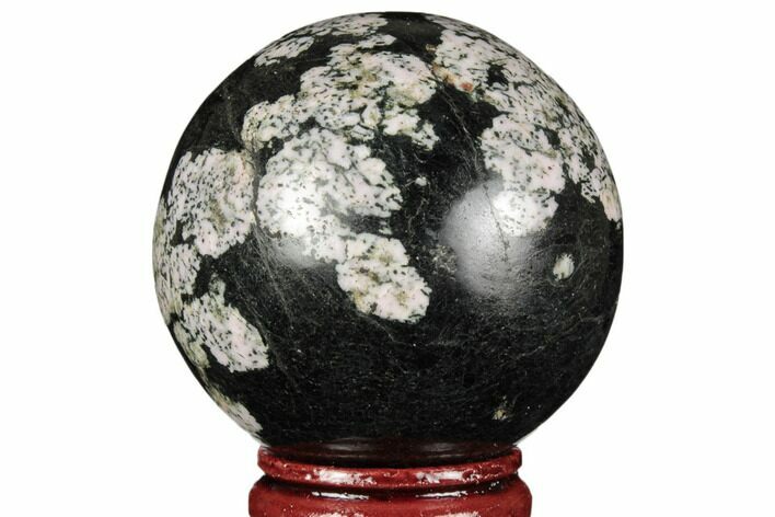 Polished Snowflake Stone Sphere - Pakistan #187519